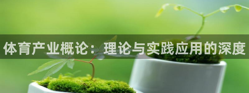 体育产业概论：理论与实践应用的深度