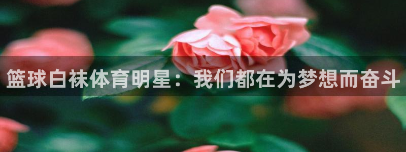 篮球白袜体育明星：我们都在为梦想而奋斗