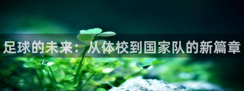 足球的未来：从体校到国家队的新篇章