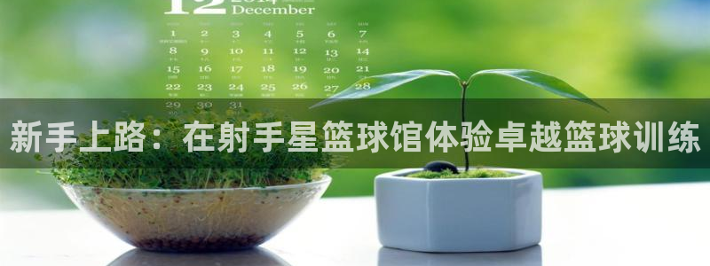新手上路：在射手星篮球馆体验卓越篮球训练