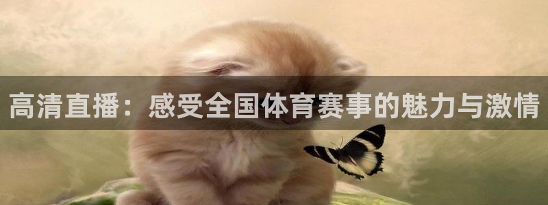 意昂5Kgame平台注册入口：高清直播：感受全国体育赛事的魅力与激情