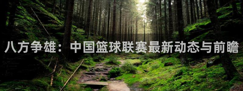 意昂5Kgame2平台登录：八方争雄：中国篮球联赛最新动态与前瞻