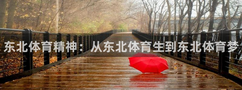 意昂5Kgame2体育：东北体育精神：从东北体育生到东北体育梦