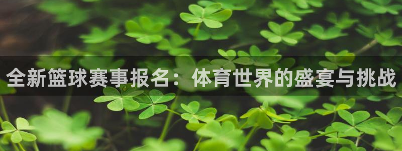 意昂5Kgame包怎么样：全新篮球赛事报名：体育世界的盛宴与挑战